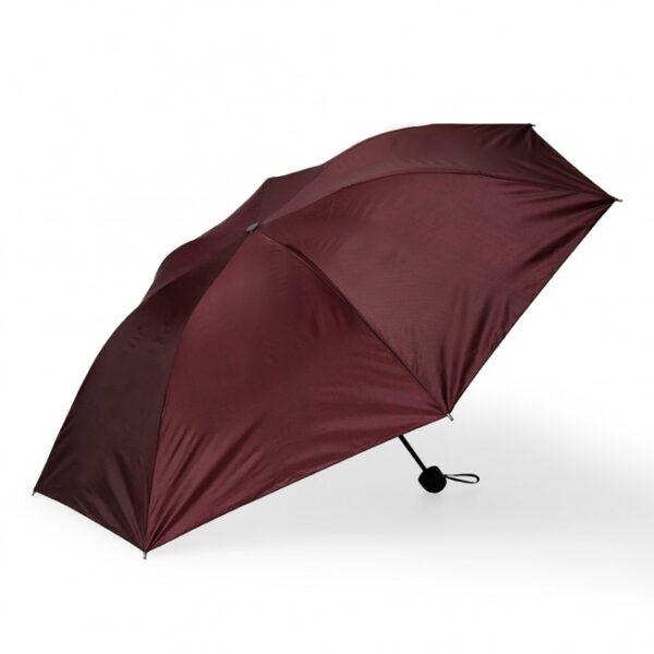 guarda chuva