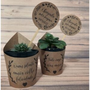 Suculenta personalizada - Image 3